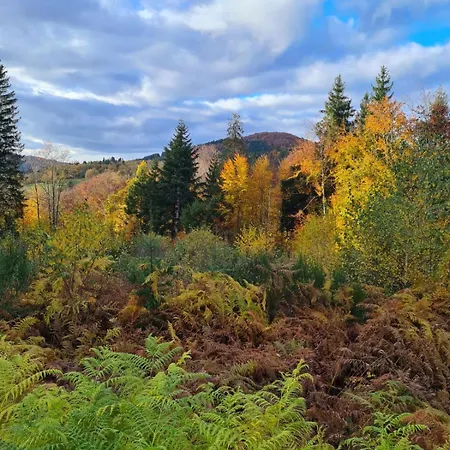 Le Jardin De Chignore